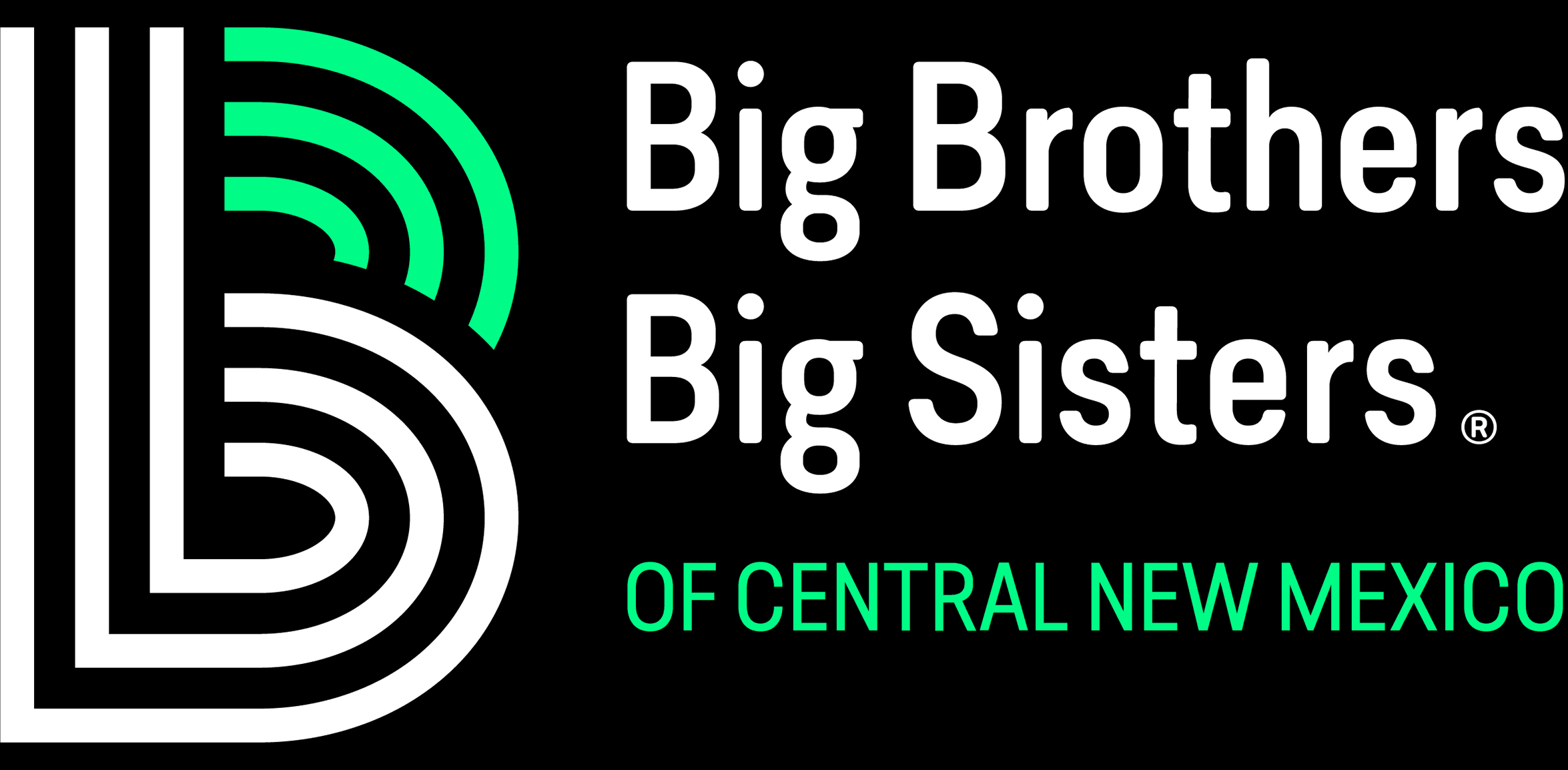 Big Brothers Big Sisters in San Juan County Logo